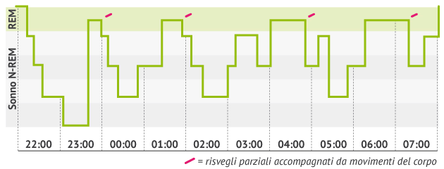 REM faze tijekom spavanja