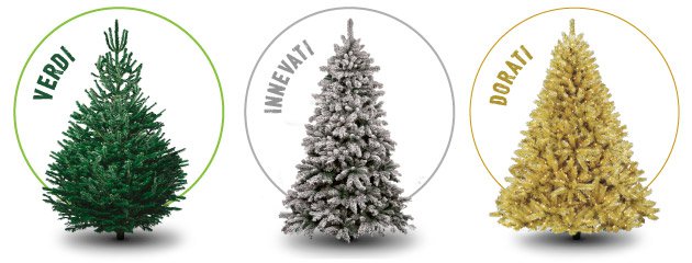 quale albero utilizzare a natale?